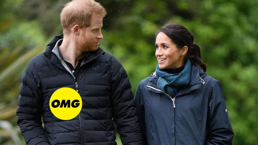 prince-harry-meghan-markle-custodia-hijos