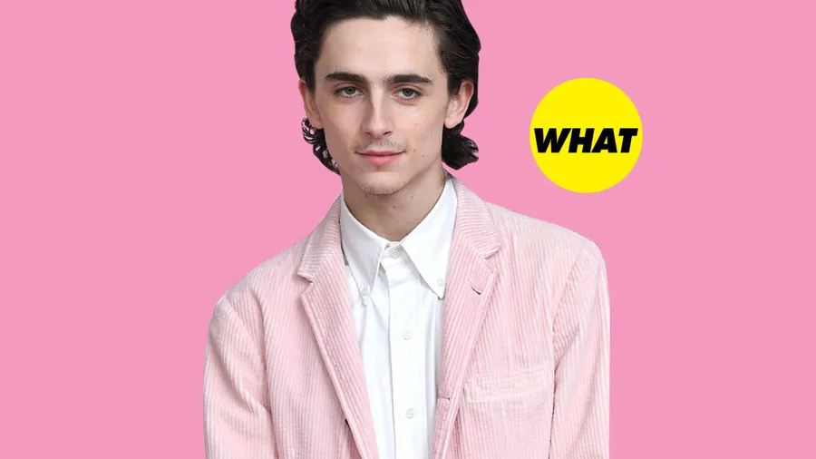timothee-chalamet-bigote-red-carpet