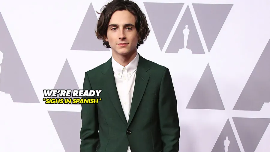 timothee-chalamet-presenta-premios-oscars-oscar-red-carpet