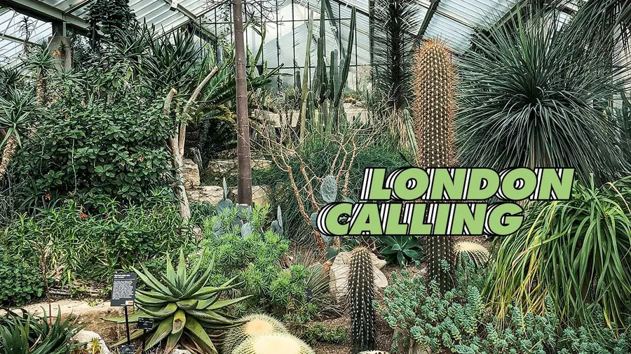 Kew-londres-botanic gardens-jardines-plantas-flores-plan-invernadero