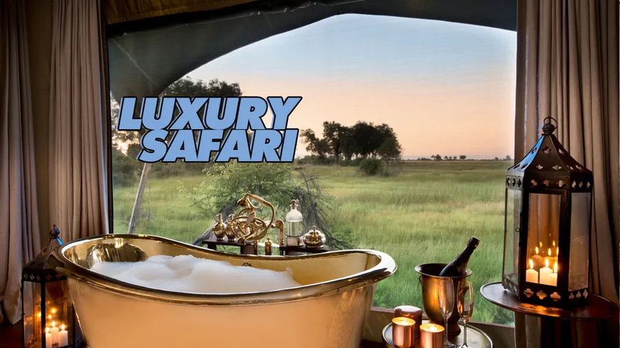 safari-de-lujo