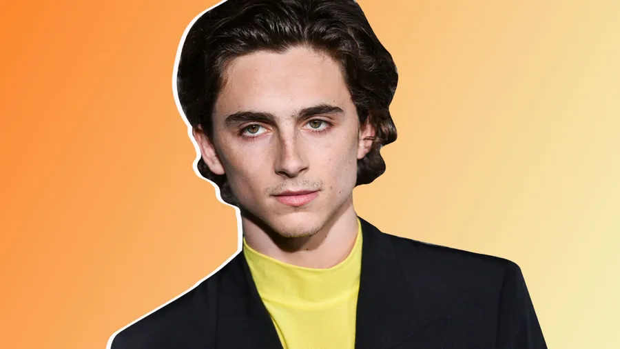 Timothée-Chalamet-woody-allen