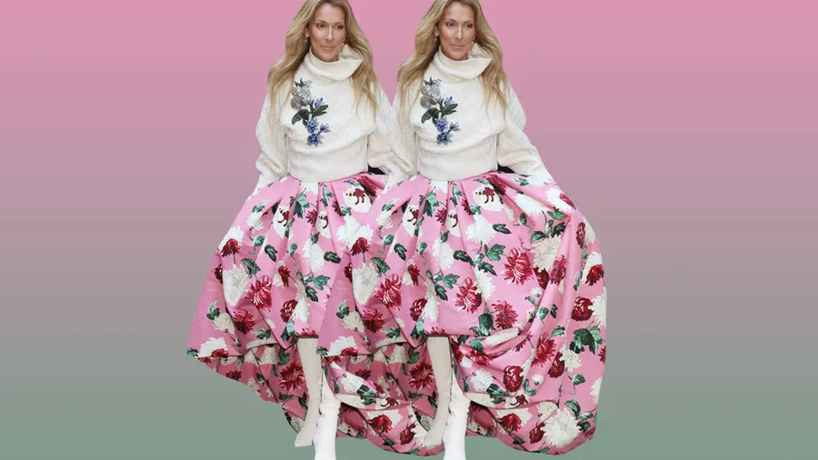 celine-dion-falda-look