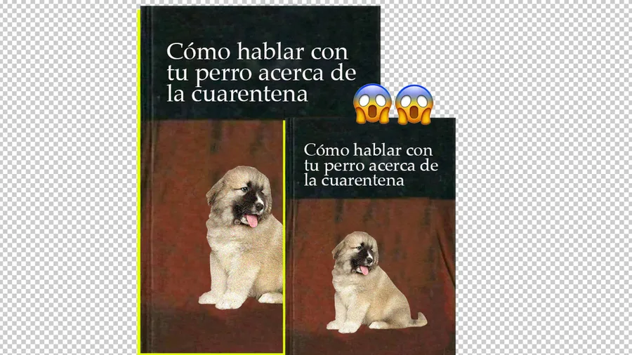 como-hablar-con-tu-perro-acerca-de-la-cuarentena