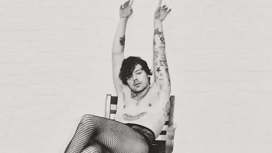 Harry Styles en medias de red o la foto que necesitas para mejorar tu día