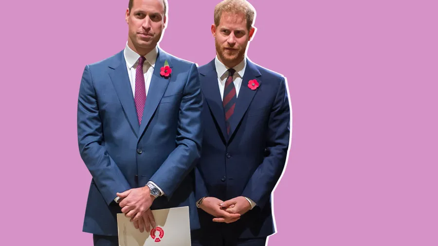 relación-príncipes-Harry-William-jamás-será-la-misma