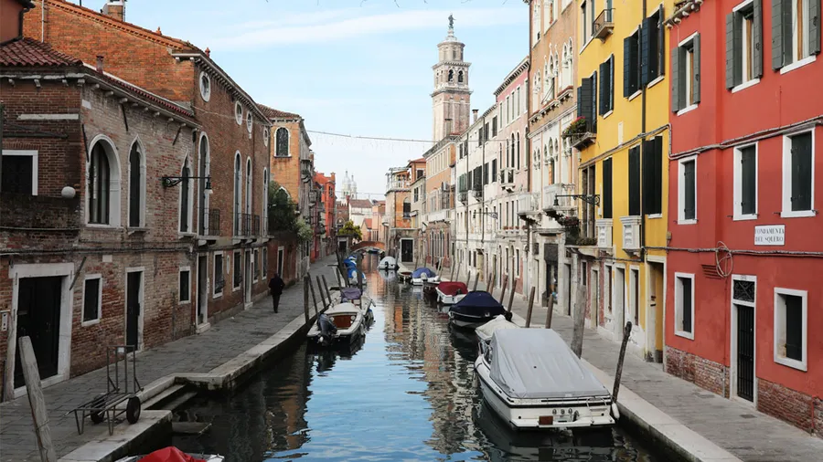 venecia-canales-cuarentena-delfines-cisnes