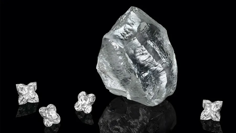 Foto: Louis Vuitton, diamante Sethunya