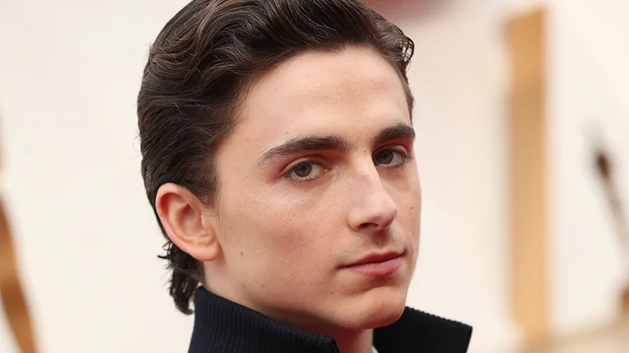 Foto: Shutterstock; Timothée Chalamet, Oscars 2020