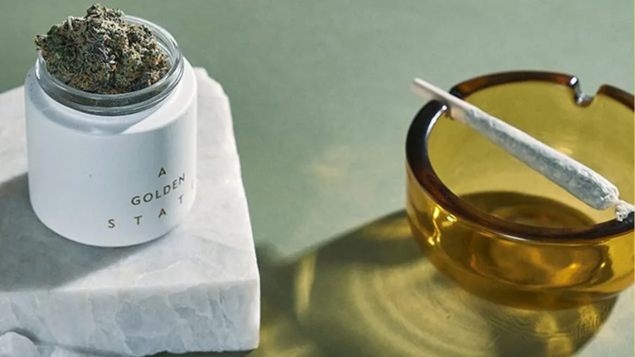 Cannabis psicoactivo