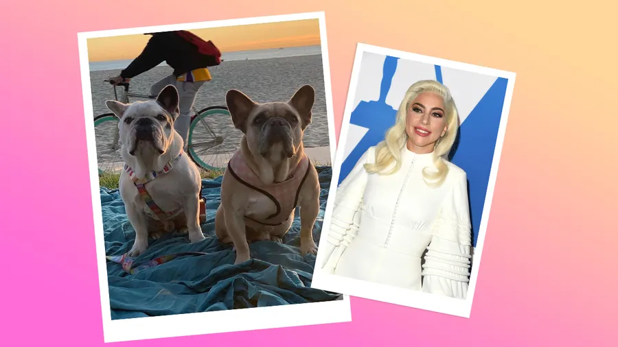 Instagram / Getty Images