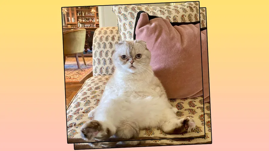 Instagram @taylorswift