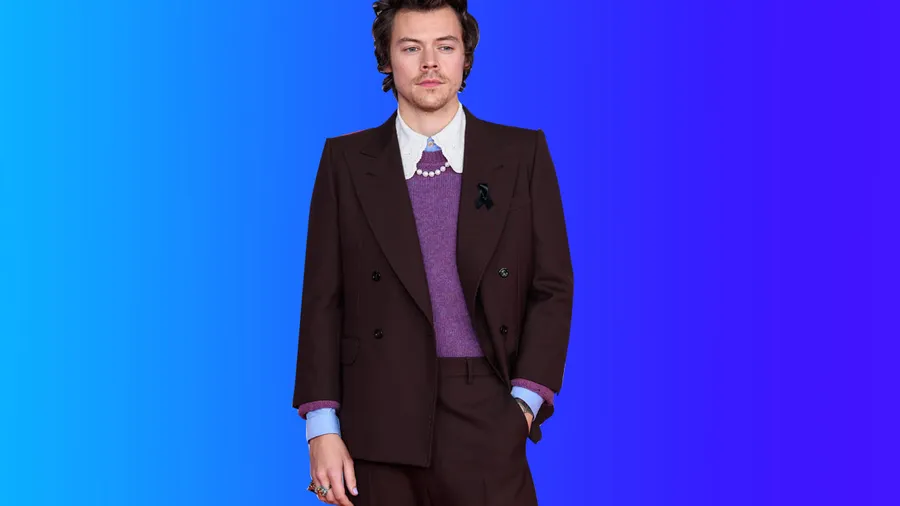 Harry Styles tenis Reebok