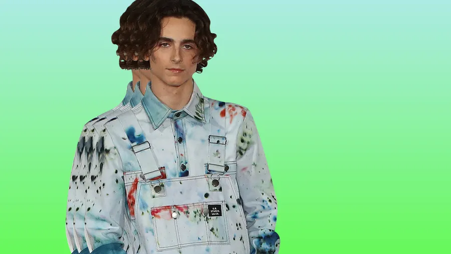 Timothée Chalamet