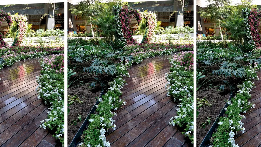 Plaza Satélite se cubre de flores