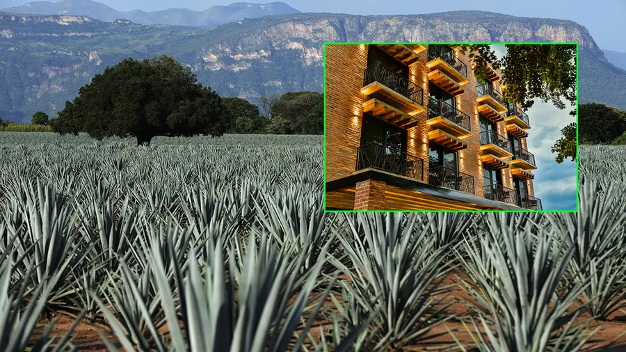 Casa Salles, Tequila, Jalisco.