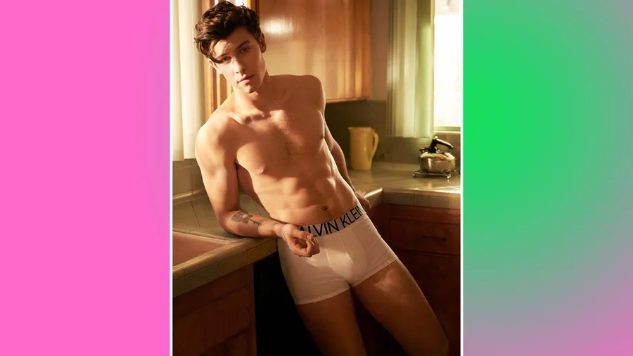 shawn-mendes-distrofia.jpg