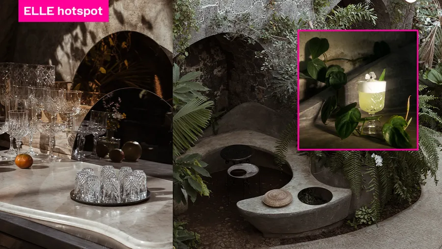 Margarita Concept Garden