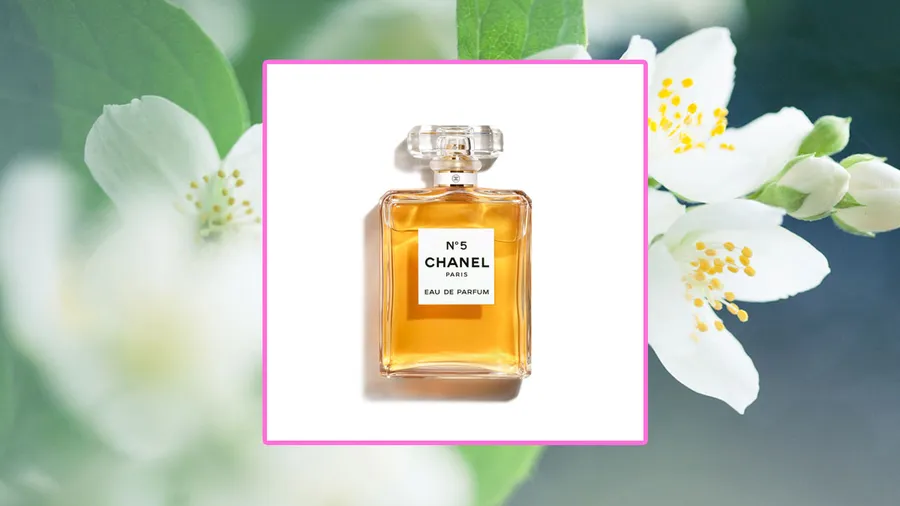 chanel jazmín grasse perfume no 5