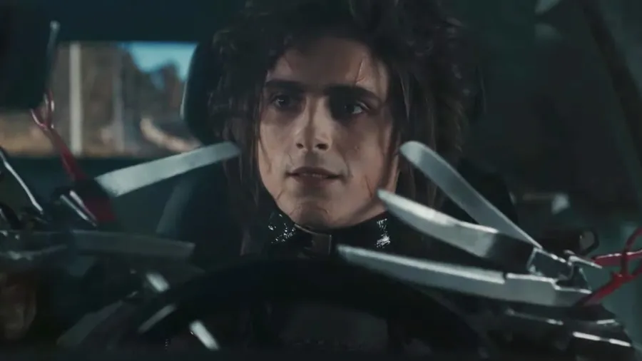 Timothée Chalamet Super Bowl