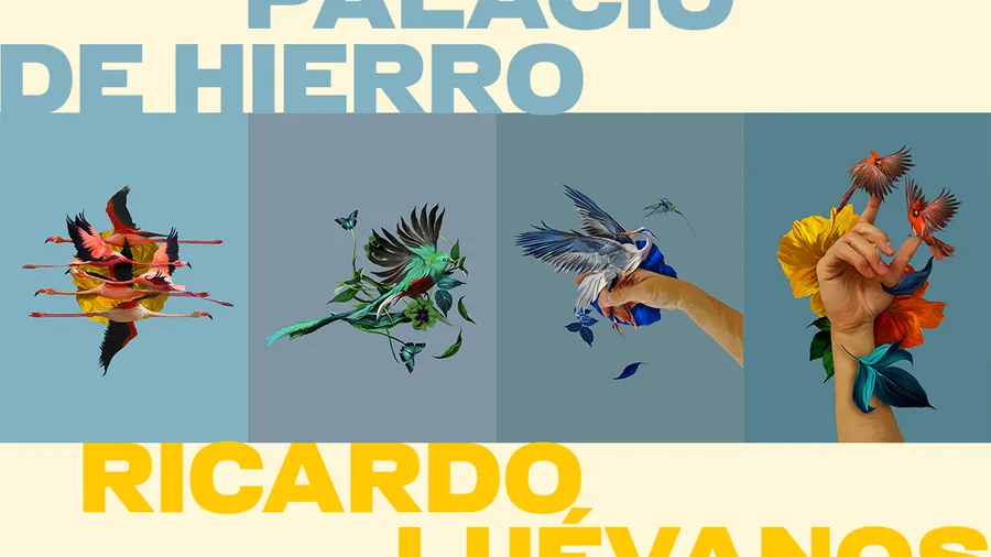 Arte, shopping y tecnología se fusionan: Ricardo Luévanos x El Palacio de Hierro