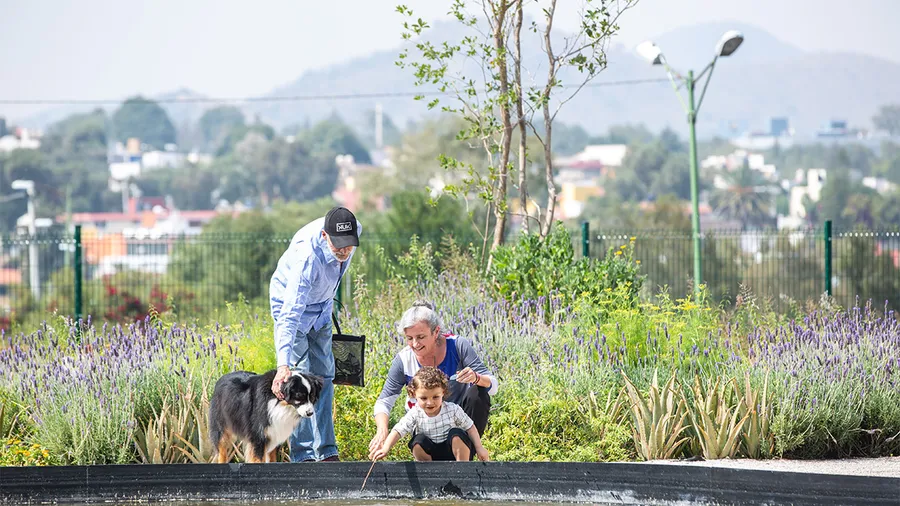 El norte de la CDMX, cada vez más petfriendly