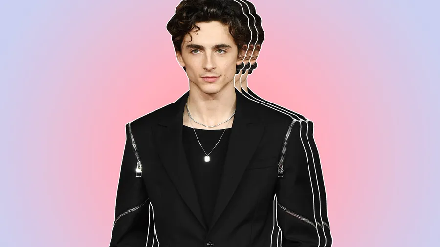 Timothée-Chalamet.jpg
