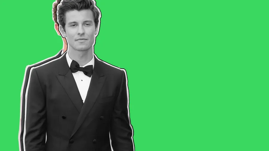 Shawn Mendes