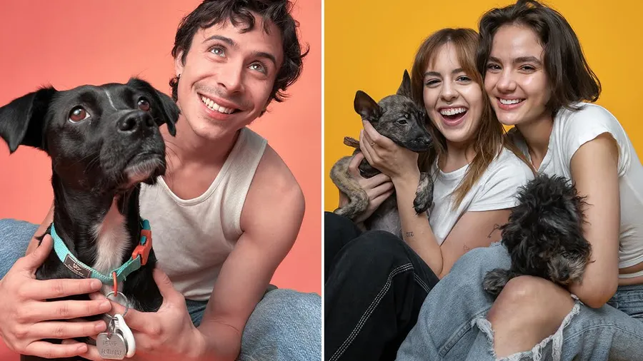 Apple x Adoptist (perros callejeros)