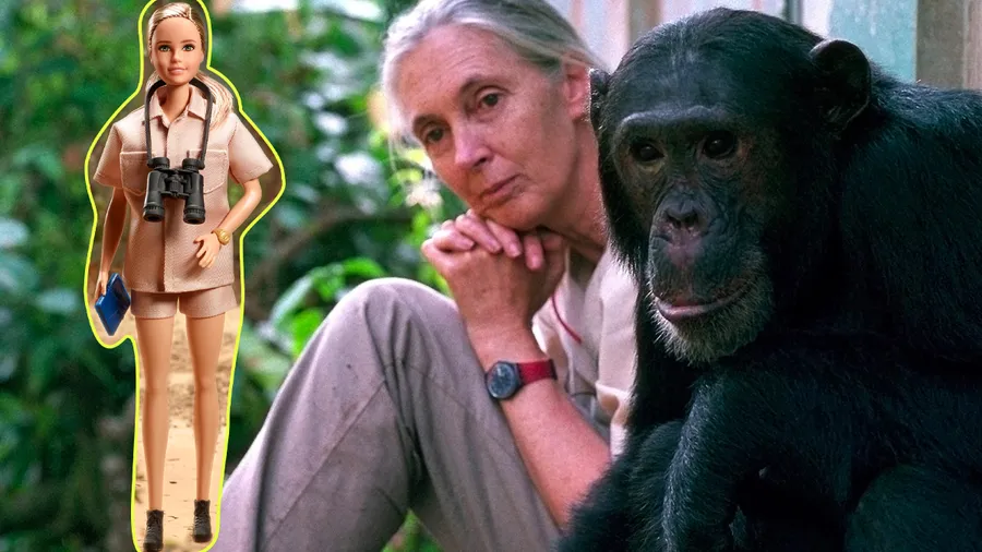 Barbie Jane Goodall.