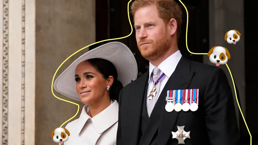 MeghanHarryRescadogs_destacada.jpg