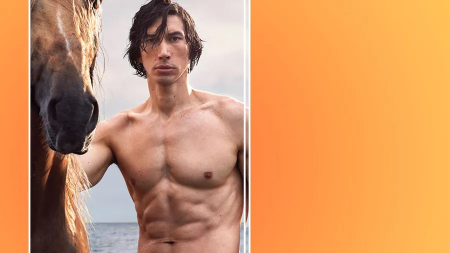 Adam Driver paraBurberry Hero.