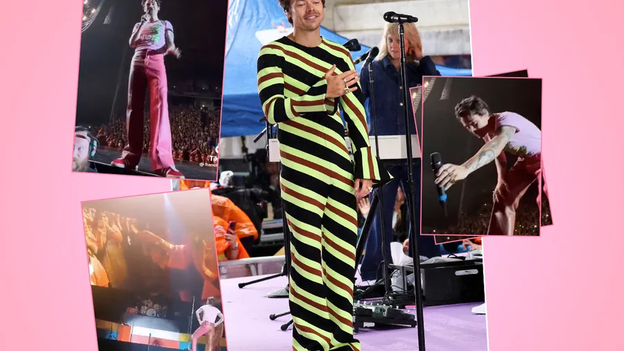 Propuesta de matrimonio en el concierto de Harry Styles.