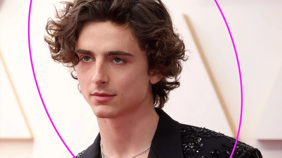Timothée Chalamet luce irreconocible en la nueva película de Luca Guadagnino