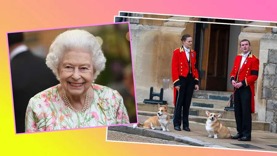 Los corgis de la Reina Isabel II.