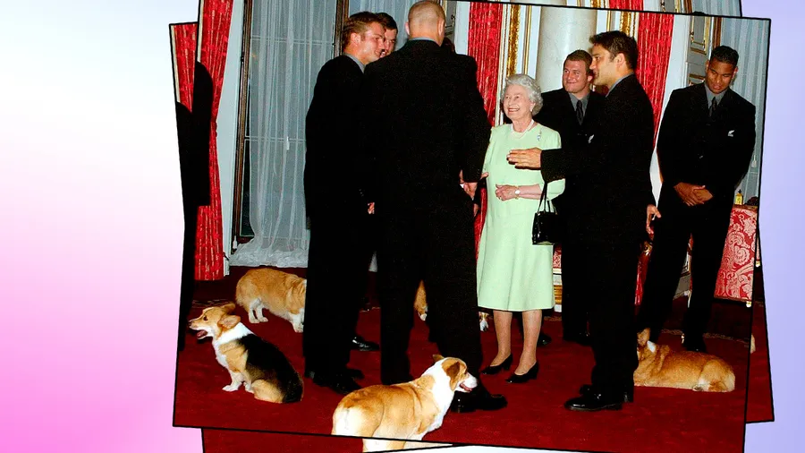 ELIZABETH-DOGS.jpg