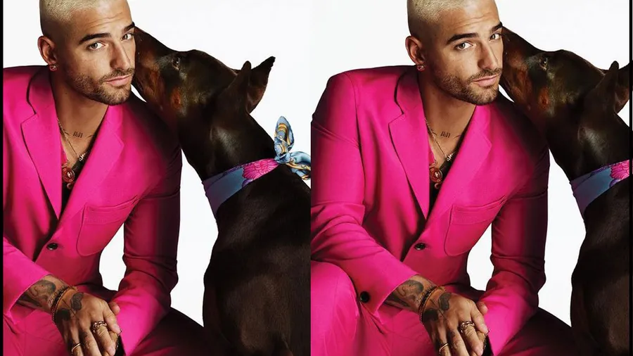 versace maluma perro