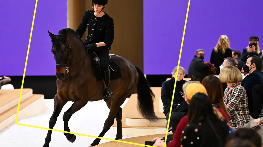 carlota casiraghi caballo chanel