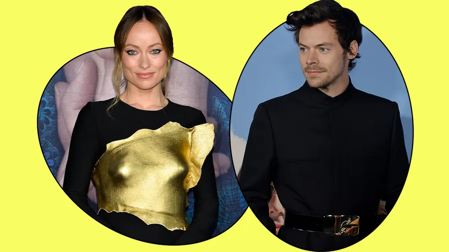 Te decimos cuál es la razón por la que Olivia Wilde y Harry Styles terminaron.