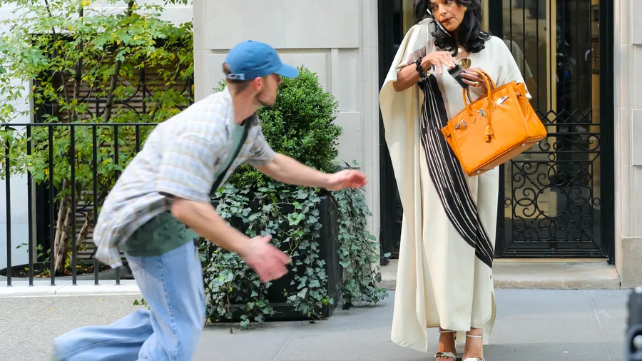 robo birkin and just like that