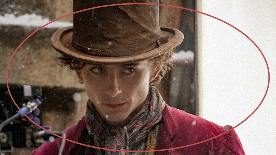 Timothéé Chalamet no tuvo que audicionar para Willy Wonka