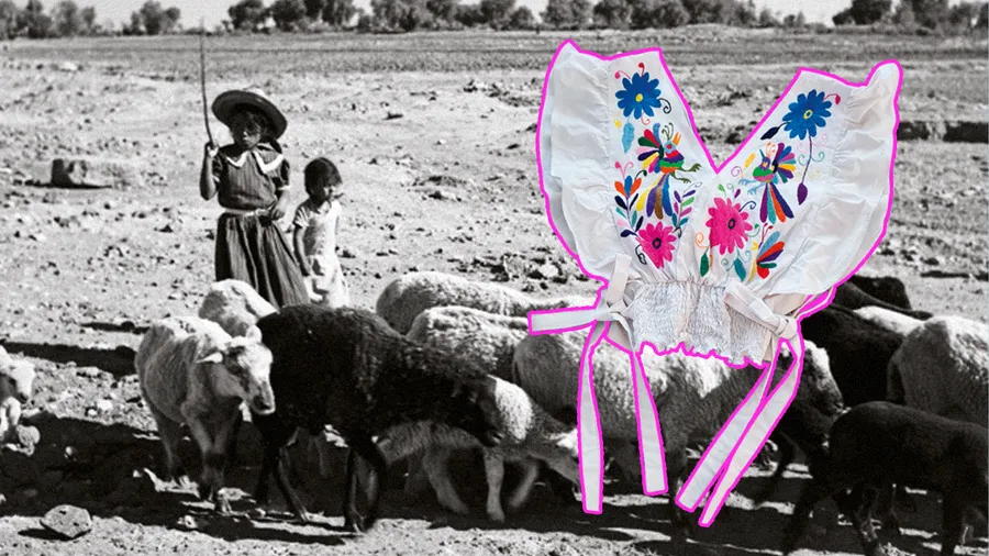 El pueblo de Teotitlán del Valle Oaxaca / Blusa con bordado de Tenango