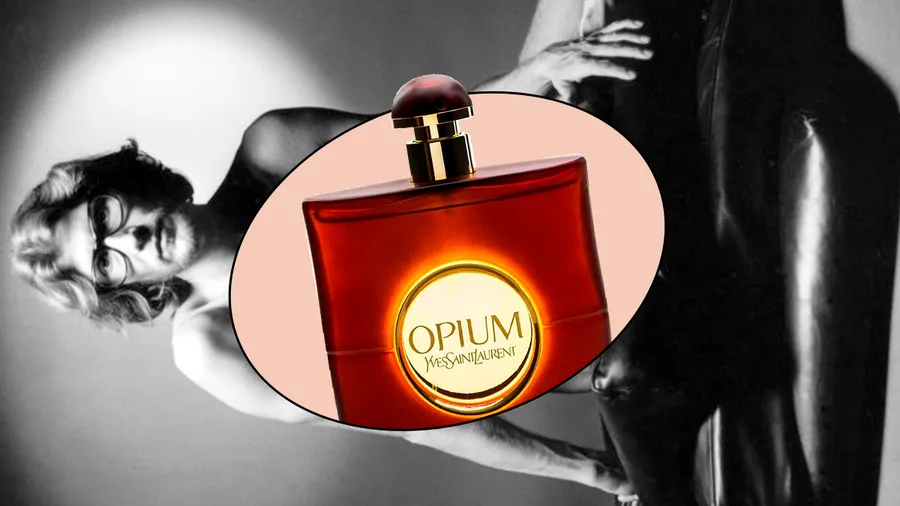 perfumes mas vendidos como elegir