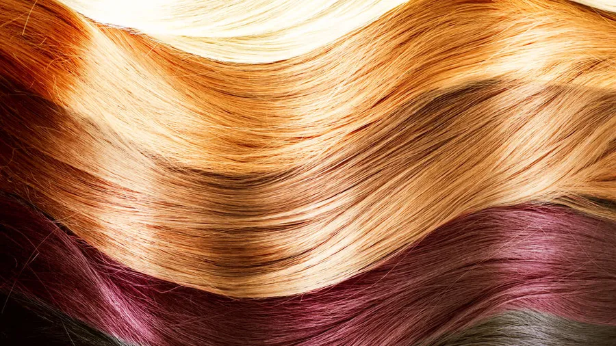 Hair,Colors,Palette.,Hair,Texture