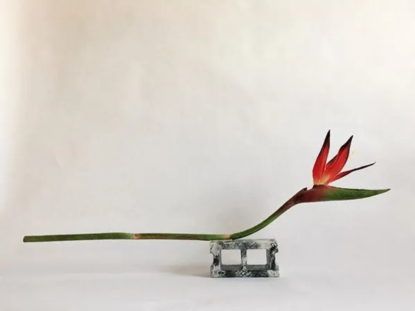 Freakebana