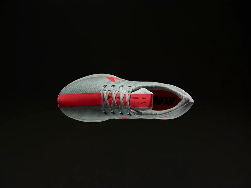 pegasus-1