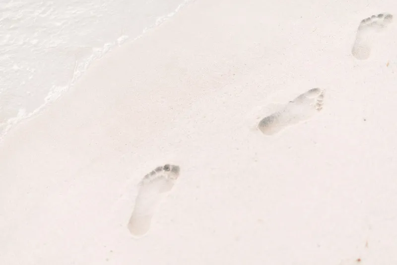 roman-kraft-279919-unsplash
