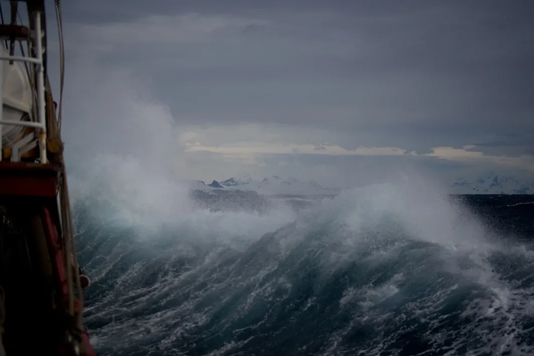 torsten-dederichs-643505-unsplash (1)