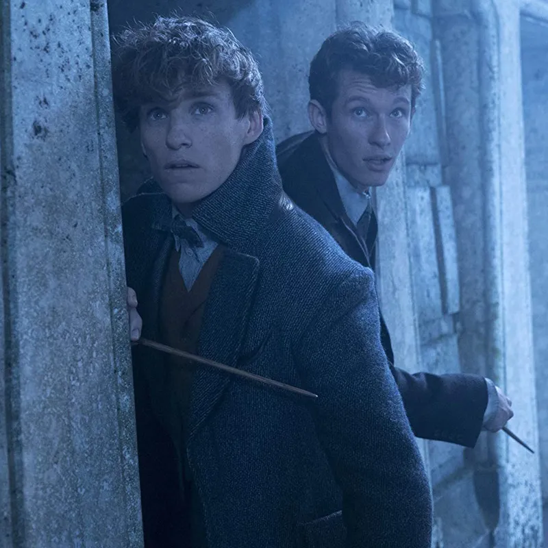 THESEUSyNEWT