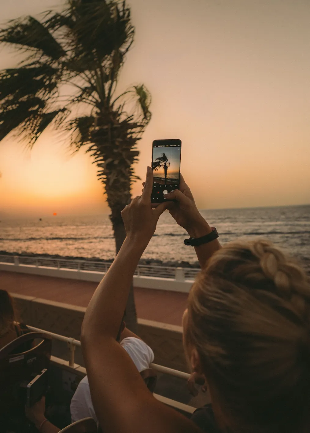 maid-milinkic-608950-unsplash